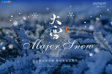 898181831-9 - injectionvalveset