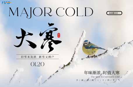 8-981454532 - injectionvalveset